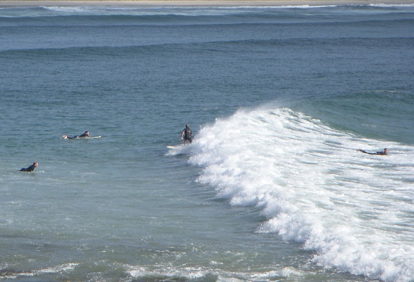 Surfing
